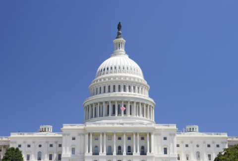 US federal government, West side view of the United States Capitol building.