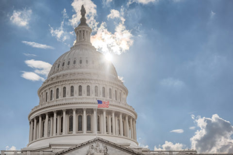 The United States Capitol